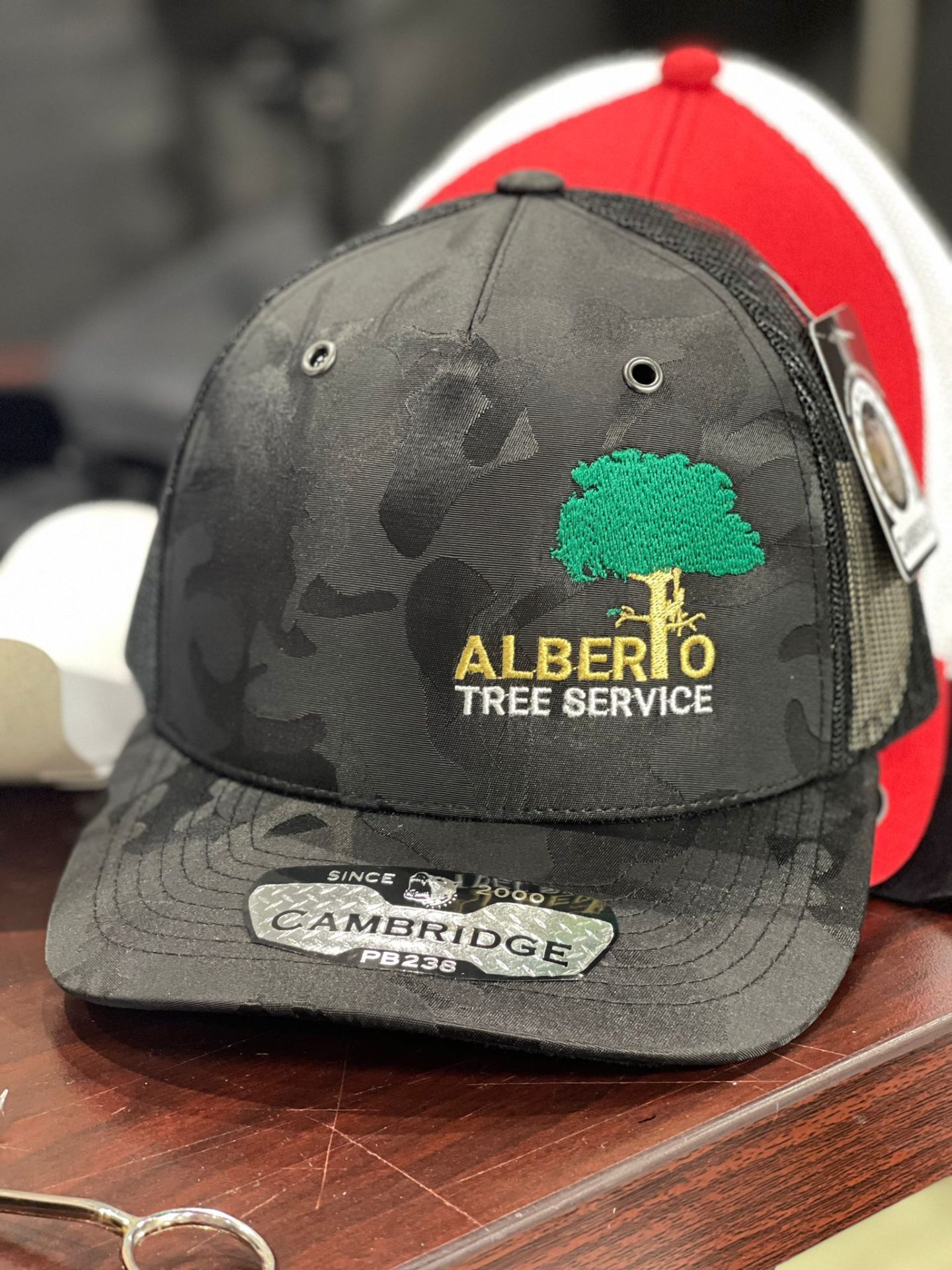 Alberto Tree Service embroidered camo cap